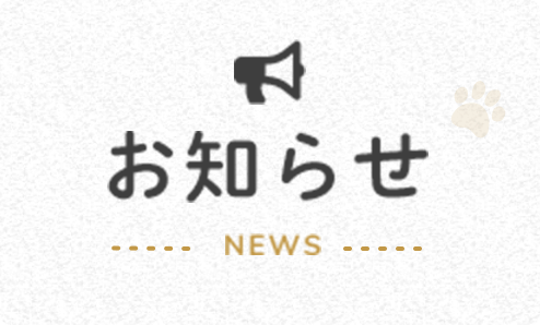 お知らせ News